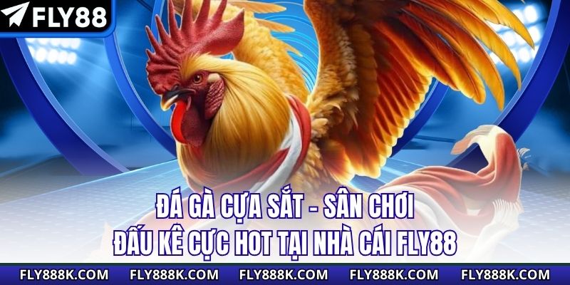 Đá Gà Cựa Sắt - Sân Chơi Đấu Kê Cực Hot Tại Nhà Cái Fly88