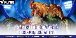 Khám Phá Thế Giới Đá Gà Online Đỉnh Cao Tại Nhà Cái Fly88